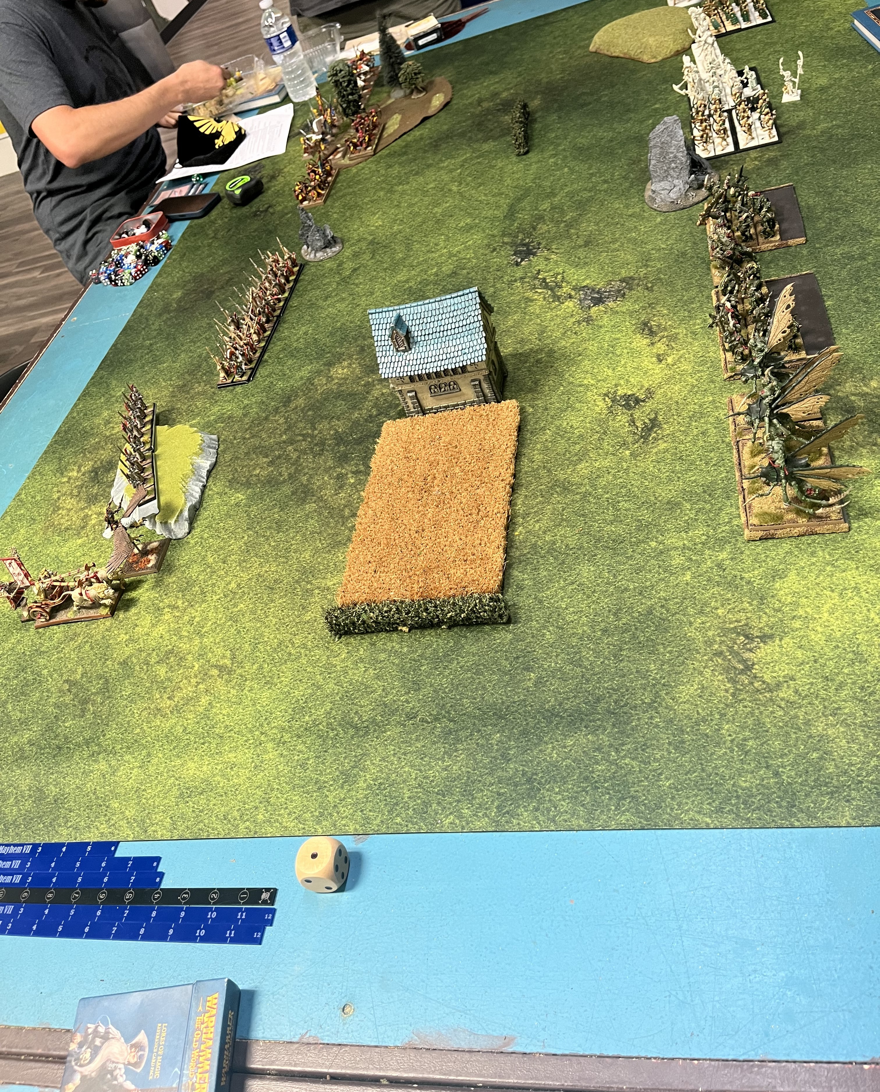 The Old World Battle Report – High Elves and Wood Elves versus Nurgle ...